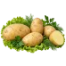 Картофель Джелли